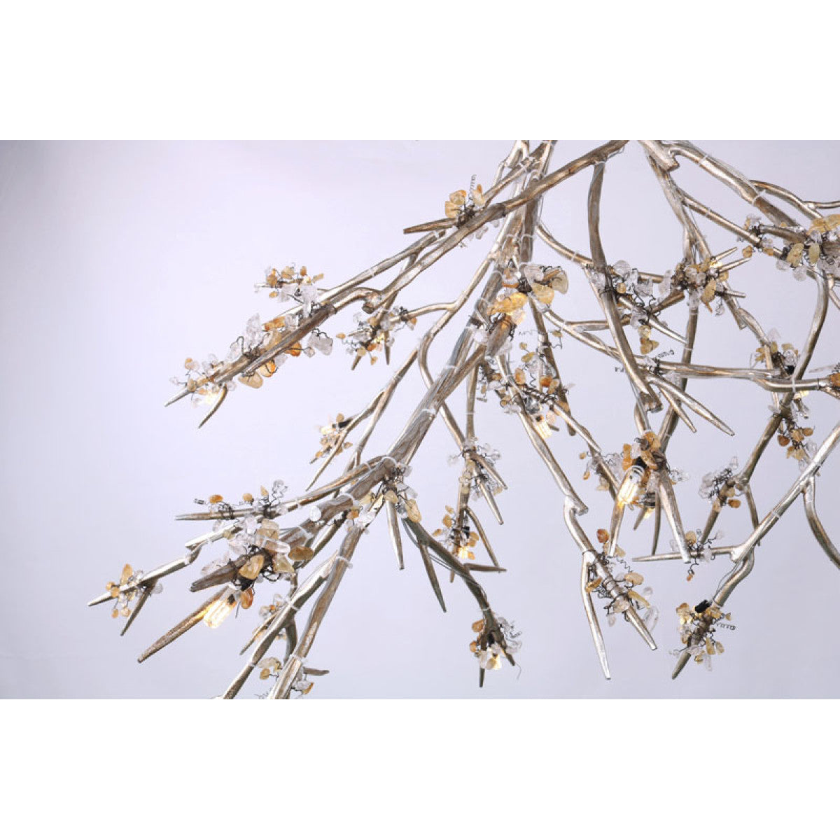 DV5623 Bloom Vivant