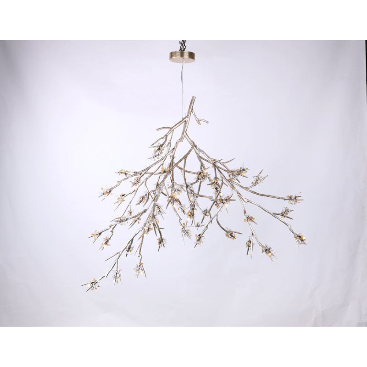 DV5623 Bloom Vivant