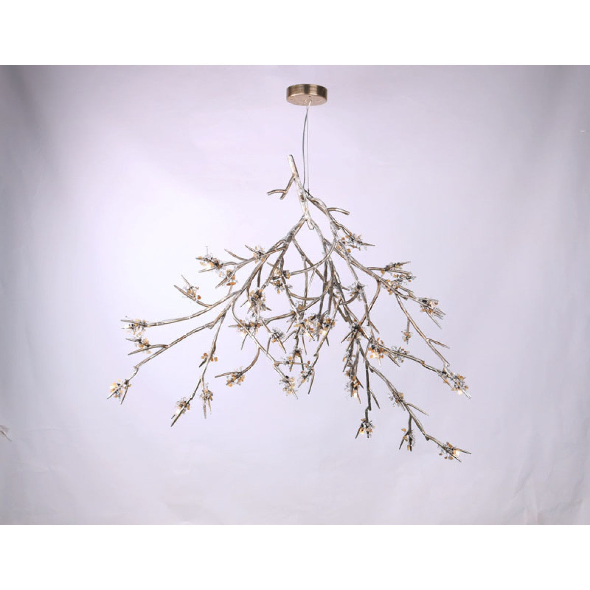 DV5623 Bloom Vivant