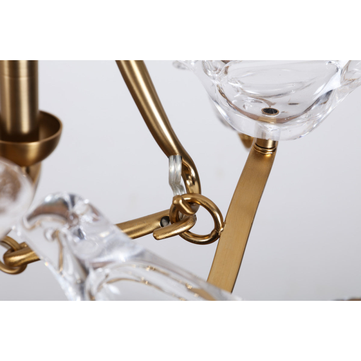 QZ0341 Dove Chandelier